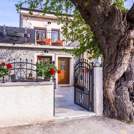 Villa Mulberry Milohnici Luaran gambar